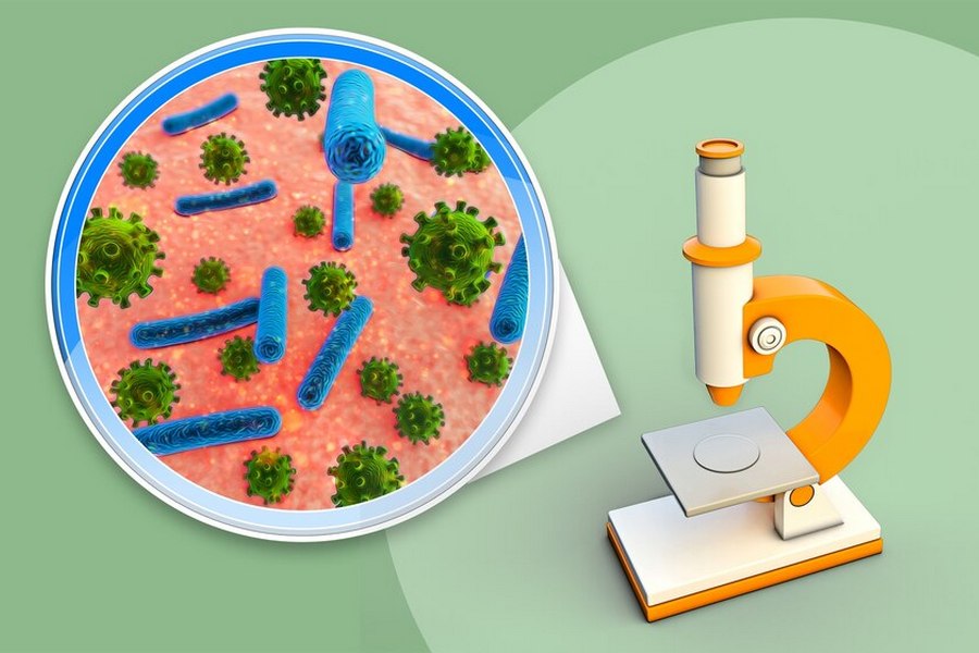 Cliffton | Innovative approaches to the use of copper powder in medicine